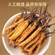 Lei yunshang [offiziell] Cordyceps sinensis High-End Cordyceps Geschenkbox Tonics für Älteste Geschenke für Gesundheit und High-End-Geschenke für Menschen [Cordyceps respektieren die älter
