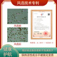 Qiaokang Breaking Wall Ganoderma Lucidum Spore Powder 50g für Menschen mittleren Alters und ältere Menschen zur Verbesserung der Immunität, hohe Triterpene 10,5% organisch gepflanzte Jinzhai 4 Kisten (6 Boxen mit 300 g insgesamt)