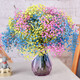 AIMAN Gypsophila Natural Dried Flower Bouquet Ins Internet Celebrity Birthday New House Decorative Ornaments Air-Dried Real Flower Arrangements Home Furnishings Yellow + Pink + Sapphire Blue Gypsophila Without Vase