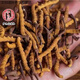 Ivanmai Authentic Cordyceps Cordyceps Cordyceps Cordyceps non-broken grass tube pack super large root gift box Liangshan Yifanmai Yifan five roots one bottle trial package
