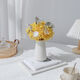 Aiman (Aiman) Leichte Luxus nordisch natürliche getrocknete Blumen Bouquet von unsterblichen Sternen Rosen Ins Style Home Dekoration getrocknete Blumen Bag Geschenk A841S Bouquet mit Flasche
