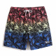 Gailang Water Park Beach Hosen Schnelltrocknen können Shorts ungezwungene große Hosen Beach Urlaubsbox Schwimmboden H1381 Gradient Leaf 3xl