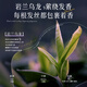 
AOPY oil control and anti-dandruff anti-itch shampoo 800ml Yanlan Oolong fragrance pleasant fluffy and gentle oil removal and fragrance self-operated