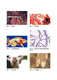 
[Regular authorization - self-operated] Large-scale ecological breeding series--Scale ecological breeding technology of meat sheep (environmental protection scale and high efficiency to raise meat sheep to get rich) 9787122349934