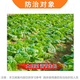 Guoguang Tiandu 8% Aminobutyl Plant Growth Regulator 200g