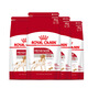 ROYAL CANIN Royal Dog Food M25 Medium-sized Dog Food for Adult Dog Food for 12 months and above Full Price Food Locked Fresh Packing Full Box Packing 16kg (4kg*4) Independent Small Packaging