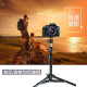 Jin Lingyue mobile phone tripod live broadcast bracket Douyin shooting camera SLR camera tripod floor anchor video recording equipment postgraduate entrance examination art examination thermometer temperature measurement gun rack bracket 160cm + mobile phone clip + cloud platform