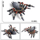Simulated rubber spider Halloween prank toys Simulated spider poisonous spider insect animal model children's toys Ox-684 Brazilian red velvet spider 0.009KG
