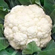 Broccoli seeds broccoli seeds pine cauliflower seeds cauliflower green cauliflower seeds four seasons vegetables original white pine cauliflower seeds 2 bags (about 600 grains