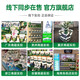 生命阳光纯牛初乳粉60袋 新西兰高含量免疫球蛋白儿童成人老年营养补充品 1g*60袋