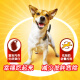 Baolu Dog Food Pet Dog Snacks Universal Dog Teddy Teacup Dog Corgi BBQ Chicken Flavor Dried Meat 80g Single Pack