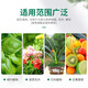 Urea fertilizer for growing vegetables, organic fertilizer, quick-acting nitrogen fertilizer, chemical fertilizer, general compound fertilizer for flowers, agricultural water-soluble fertilizer, crystal urea 3Jin Jin equal to 0.5kg
