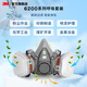 
3M gas mask, dustproof mask, mask, formaldehyde and anti-smog, protective chemical spray paint pesticides, yzl 6200+6001, seven-piece set [620E organic gas]