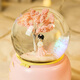 Farbbohne (Sedou) Crystal Ball Music Box für Jungen und Mädchen Geburtstagsgeschenke für Mädchen 7-14 Jahre altes Kinder Spielzeug Spielzeug
