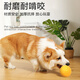 Hanhan Paradise Pet Dog Toy Bouncy Ball Bite-Resistant Dog Training Artifact Large, Medium and Small Border Collie Teddy Can't Bite Puppy Toy