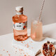 Fengzhi Ji Enlixiang Taoxiang Gin JUNE GVINE French imported gin wine prepared with foreign wine spirits Ji Enlixiang Gin 700mL 1 bottle