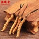 Fuxitang Tibet Hochhöhe Naqu Cordyceps Naqu Cordyceps Tibeter Cordyceps 3 1 Gramm Innen 12 Gramm Testrohr Geschenkbox 2