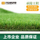 Co-create lawn Co-create artificial grass 10 square meters plastic turf kindergarten gym greening outdoor courtyard school football field fake grass 10mm thickened and encrypted ordinary style (10 square meters)
