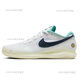 Nike (NIKE) tennis shoes for men and women 2024 Federer French Open Wimbledon air cushion sneakers DR6966/DR6191 Light gray gold Vapor Pro 2_FN4741-101 42