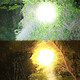 Vinoya strong bald head lamp charging super bright head-mounted flashlight long-range hernia outdoor mine super long battery life 9923 white light standard version