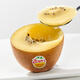 Zespri New Zealand Sunshine Gold Kiwifruit 8 packs, each fruit weighs about 122-146g, straight from the source.