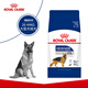 Royal Canin Food Adult Dog Food Dog Food Pet Large Dog GR26 Full Price Dog Food 15 Months 15KG