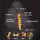 
Authentic Cordyceps gift box genuine dry goods Mid-Autumn Festival gift high-end gifts for elders and parents nutritional products round box 20 pieces