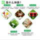Food waste treatment Food waste composting consumables Digestive bacteria Digestive agent Efficient degradation and purification of microecology