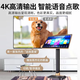 HYUNDAI modern home theater ktv audio set computer TV living room home k song karaoke full set of professional amplifier speaker equipment [hot sale] 10-inch song tuning machine set