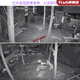 Zhongwei Century Camera Zhongwei Century Solution Camera 2 million 3 million 4 million outdoor waterproof Zhongwei 2 million infrared four-light simultaneous recording set No other 4mm