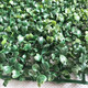 Win the show, simulated plant wall, green plant wall background wall, green simulated plant mall advertising door head artificial decoration, encrypted Milan grass 40*60CM piece