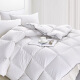 Hongyan quilt core home textile comfortable goose down quilt double thickened down feather quilt 100% cotton anti-diamond autumn and winter thick quilt white filling 2.3kg200*230cm