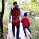 贝宜美老式传统婴儿宝宝背带袋贵州背扇云南小孩前抱后背娃被巾春夏秋冬 卡通小猪纯棉款（头部稍硬）