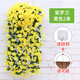 Simulated violet flower vine spider plant wall hanging plastic artificial flower rattan decoration indoor living room furnishings silk flower violet yellow 2 bunches (free 1 coconut palm basket)