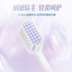 Lengsuanlingyun feels velvet soft-bristle toothbrush to care for gums adult toothbrush 10 pieces in random colors recommended by Wu Lei