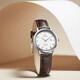 TIAN WANG watch women's small dial fashionable quartz watch simple temperament watch birthday gift for girlfriend [29mm dial] simple brown belt 3886 upgraded model