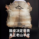 Cega手鼓非洲鼓丽江儿童初学演奏金贝鼓印尼整木掏空山羊皮成人学生鼓 标8寸锦瑟云海+赠品