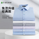 Shanshan [DP Free Ironing] 80 Coton Pure Coton Short à manches courtes pour hommes Casual Stripes Casual-Friendly and Anti-Wrinkes Men's Shirt