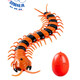 
Feidule children's electric remote control spider toy crawling simulation small animals 4-6 years old boy and girl yellow and black remote control centipede 9901+ screwdriver official