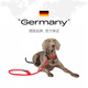 HUNTER imported from Germany, medium and large dog leash, thick explosion-proof dog rope, P rope, P chain dog chain, integrated dog training rope, off-white, 180cm long, 1.0cm in diameter (medium and large dogs)