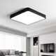 Leilei Zhiguang LED induction ceiling light voice-controlled radar human body induction light corridor aisle corridor balcony home smart light square 23cm radar 12W default black