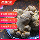 Sanqi Wenshan Fuwanjia (FWJ) Wenshan 40 Heads Sanqi 500G Tian Qi Wenshan Sanqi