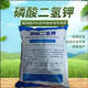 Potassium dihydrogen phosphate agricultural foliar fertilizer water-soluble fertilizer fruit and vegetable potted flowers phosphorus potassium fertilizer wheat and corn general fertilizer Potassium dihydrogen phosphate 5Jin Jin equals 0.5kg 99% customer choice