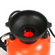 Shixia (seesa) Shixia brand watering kettle, gardening watering kettle, watering flower, pesticide sprayer, agricultural manual air pressure sprayer 5L with all-copper telescopic pole