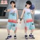 Shengxiao Children's Clothing Boys' Summer Suit Summer Short Sleeves + Shorts Children's Basketball Uniforms Sports Big Children's Two-piece Set TZ22697 Blue Size 120 Recommended Height 110cm