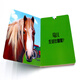DK Baby Toy Book Kenntliche Tiere