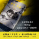【雅】舒吉.贝恩（长篇小说）（精装）道格拉斯97875447**844