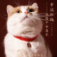 Huayuan Pet Equipment (hoopet) Cat Collar Cat Necklace Cat Collar Cat Collar Small Dog Braided Accessories New Year Decoration Collar Pet Necklace Safety Lock - Audio S Range 15-25cm Recommended weight within 8Jin [Jin equals 0.5kg]