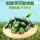 GEWOSI fresh Hong Kong peppers, Mexican peppers, pickled peppers, spicy, thin skin and thick flesh, seasonal farm-grown whole box supermarket vegetables, peppers 5*0.5kg, spicy