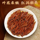 乐品乐茶正山小种红茶茶叶 特级原产蜜香型散装共250g